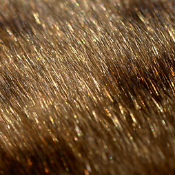 Glitter on a Brown Coat